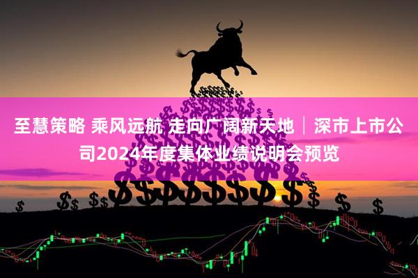 至慧策略 乘风远航 走向广阔新天地│深市上市公司2024年度集体业绩说明会预览