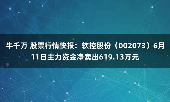 牛千万 股票行情快报：软控股份（002073）6月11日主力资金净卖出619.13万元