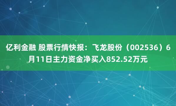 亿利金融 股票行情快报：飞龙股份（002536）6月11日主力资金净买入852.52万元