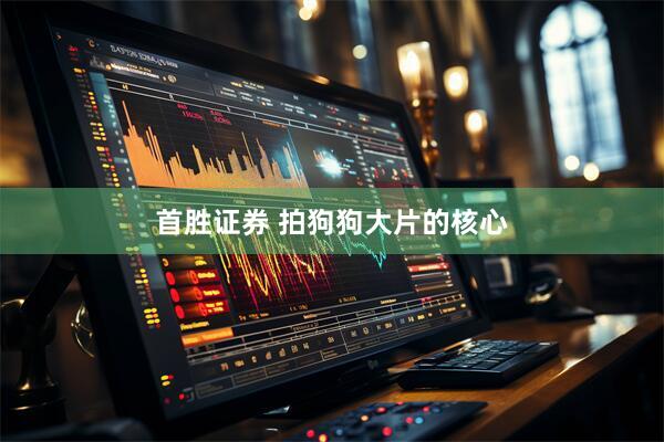首胜证券 拍狗狗大片的核心