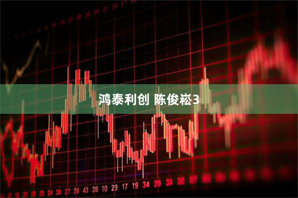 鸿泰利创 陈俊崧3