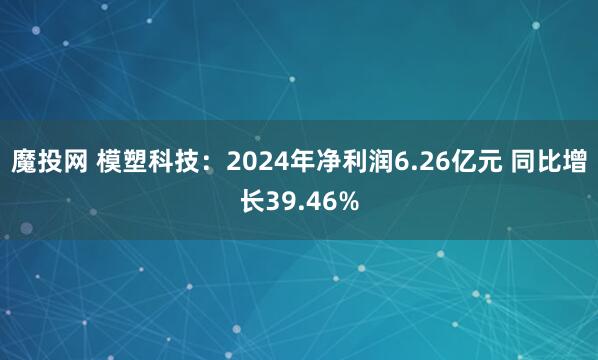 魔投网 模塑科技：2024年净利润6.26亿元 同比增长39.46%