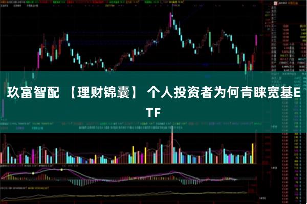 玖富智配 【理财锦囊】 个人投资者为何青睐宽基ETF
